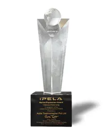 IPELA Market Expansion Award VC Outstanding Performance in 2006